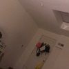 bbyrenee123